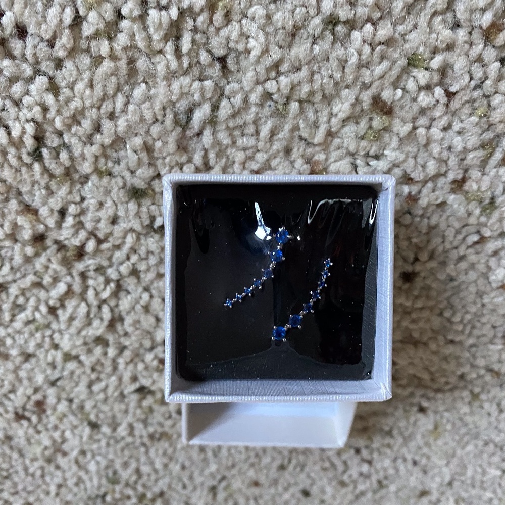 Blue Earrings